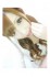 【ç”ºç”°ï¼¯ï¼¬å§”å“¡ä¼š】ã‚ã‚“
